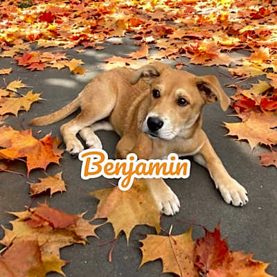 Photo of Benjamin #image