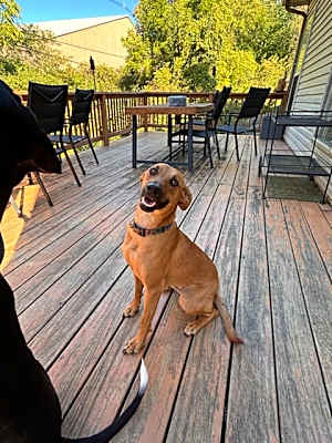 Photo of Sadie #image