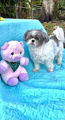 Photo of Lily Belle #image