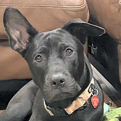 Photo of NOVA #image