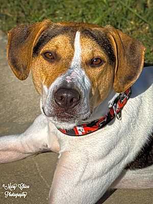 Photo of Tucker #image
