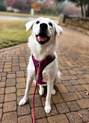 Photo of 24-084 Wilma #image