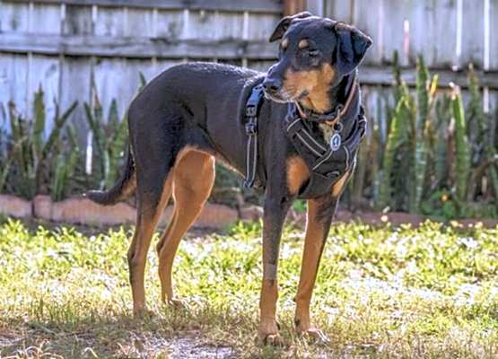 Photo of Marcelita #image