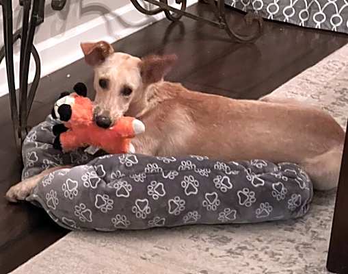 Photo of Rayne #image