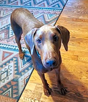 Photo of Axel #image