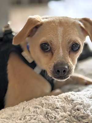 Photo of Hutch Boy #image