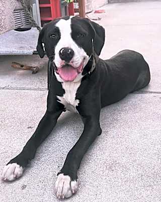 Photo of Annie #image