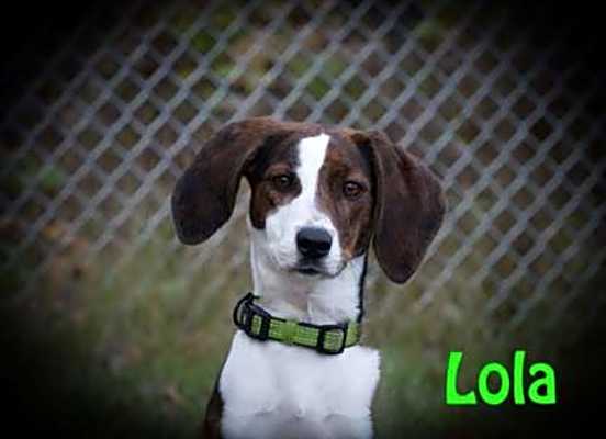 Photo of Lola #image