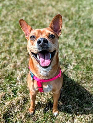 Photo of Lucy #image