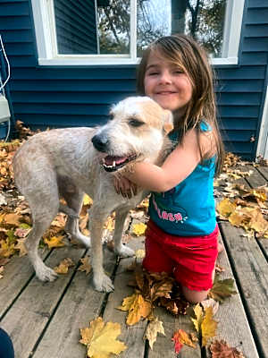 Photo of Scruffy #image