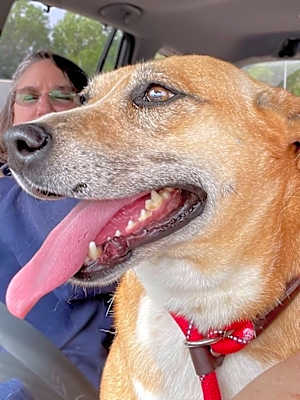 Photo of Lindy #image