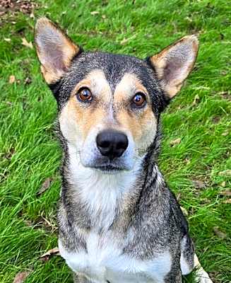 Photo of Belle #image
