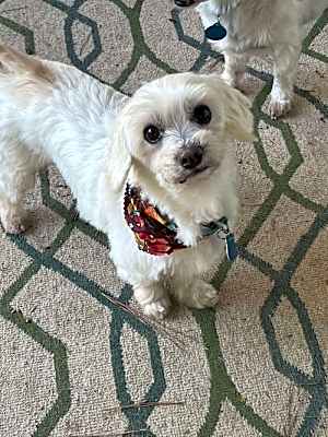 Photo of Charlie #image