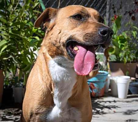 Photo of COCO #image