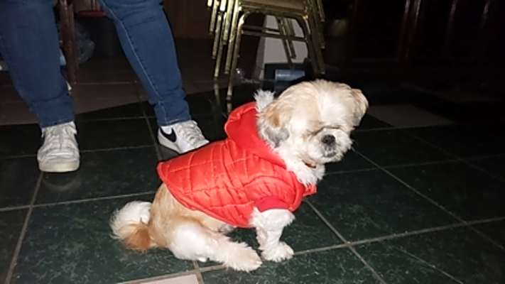 Photo of Pirate #image