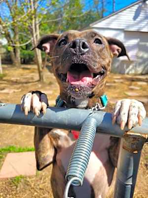 Photo of Ripley #image