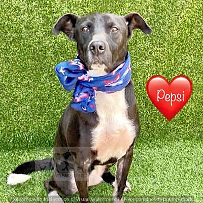 Photo of PEPSI #image
