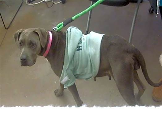 Photo of DAISY #image