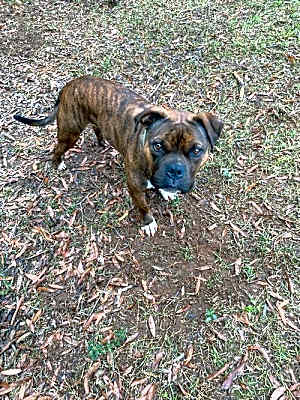 Photo of Valentino #image
