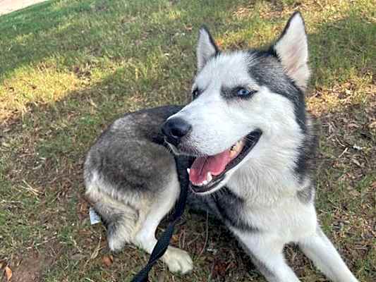 Photo of Alma #image