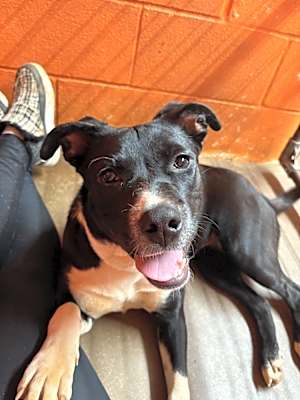 Photo of Susie #image