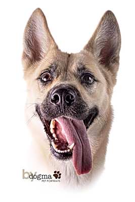 Photo of Kiah #image