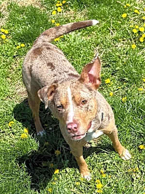 Photo of Misha #image