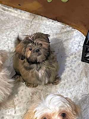 Photo of Jake #image
