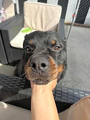 Photo of Jack #image