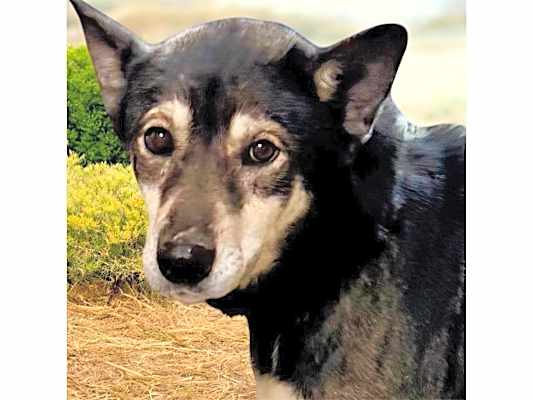 Photo of Cassidy #image