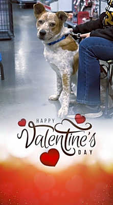 Photo of Bingo #image