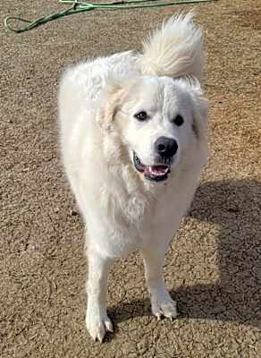 Photo of Sadie Loo DFW #image