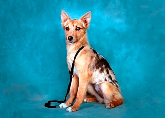 Photo of Talia #image
