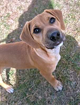 Photo of Rizzo #image