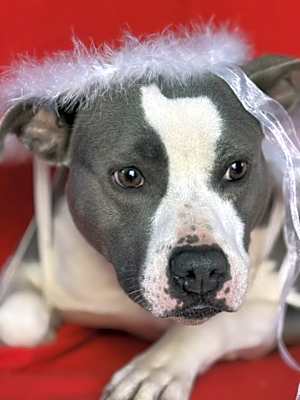 Photo of Leona #image