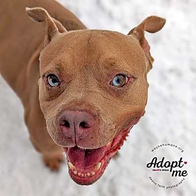 Photo of Skylar #image