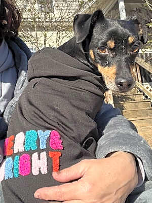 Photo of Maddox #image
