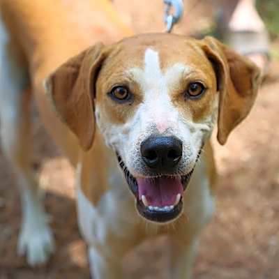 Photo of Ellie Mae #image