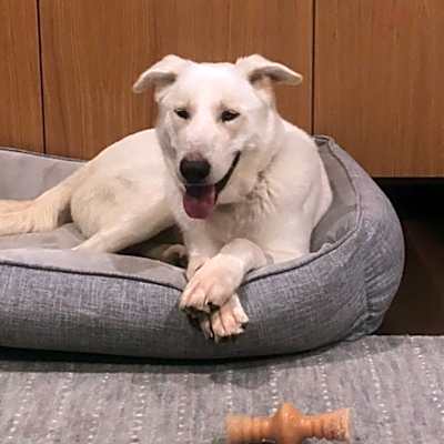 Photo of Olaf #image