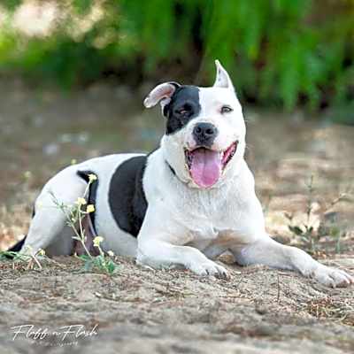Photo of Genevieve #image