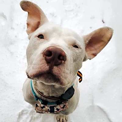 Photo of Casper #image
