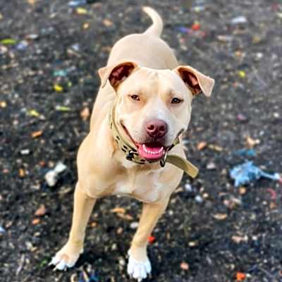 Photo of Nyla JC #image