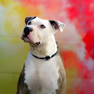 Photo of Squiggy JuM #image