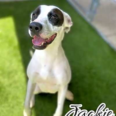 Photo of Jackie #image