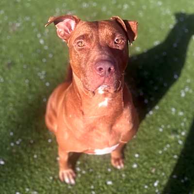 Photo of Holly #image
