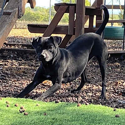 Photo of Missy #image