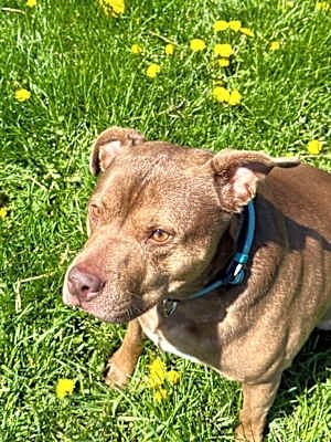 Photo of Max #image