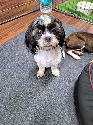 Photo of Polly #image