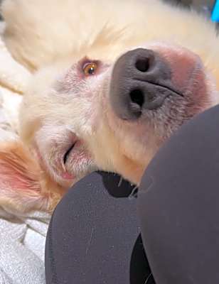 Photo of Chance #image