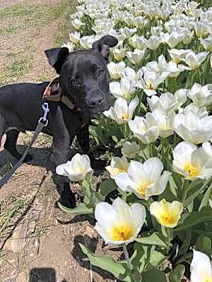 Photo of Jenson #image
